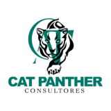 Cat Panther Consultores